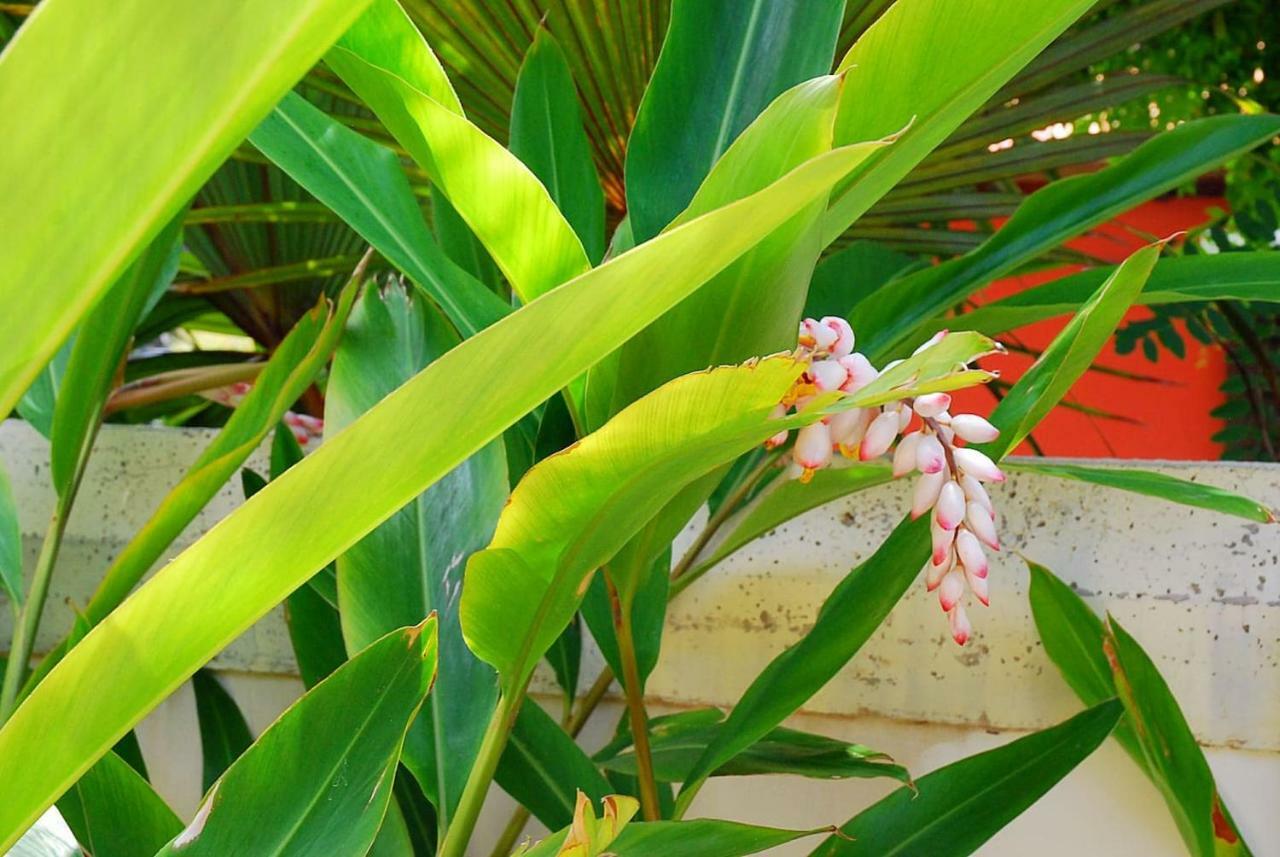 House Sea View Private Garden, 5 People, Optical Fiber Villa Puerto de la Madera Exterior photo